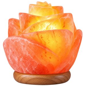Himalayan Salt Lamp Rose