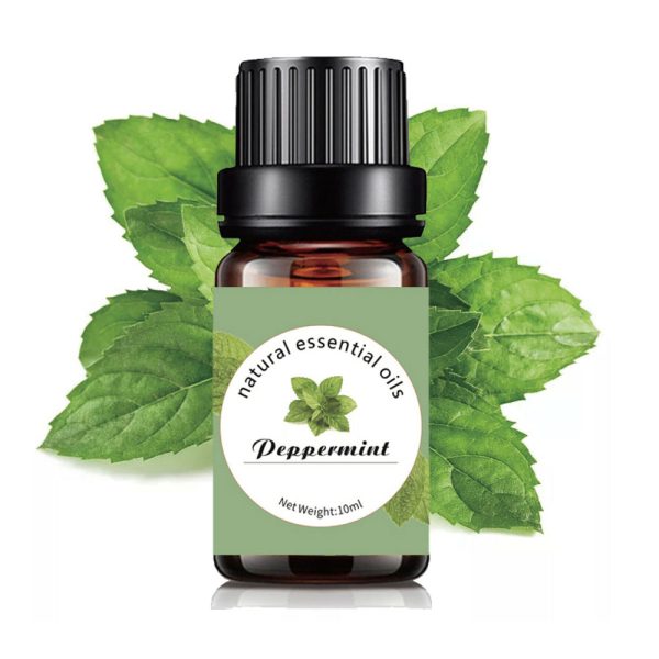 Peppermint Pure Essential Oil 10ml