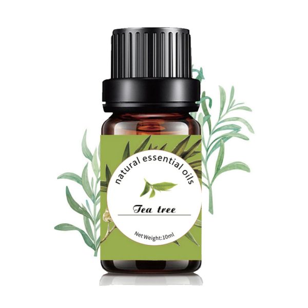 Tea Tree Pure Essential Oil 10ml