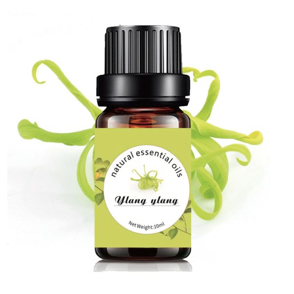 Ylang Ylang Pure Essential Oil 10ml
