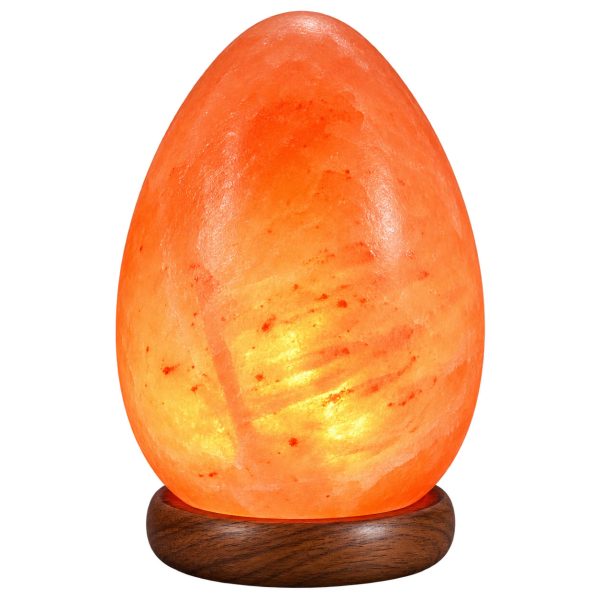 Himalayan Salt Lamp Egg